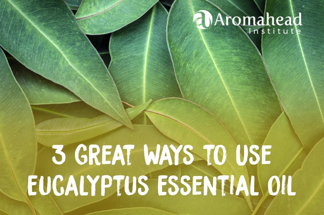 3 Great Ways to Use Eucalyptus Essential Oil