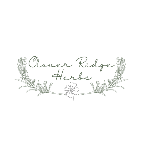 Green Leaves Boutique Logo Design