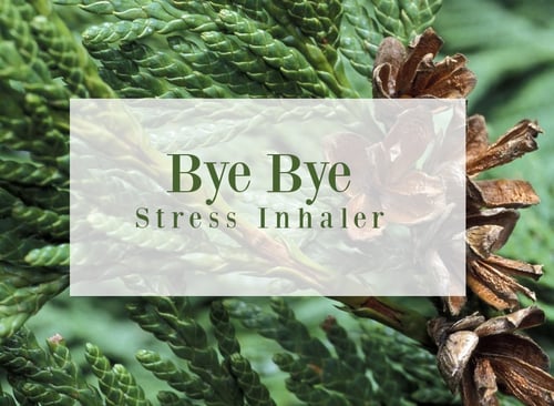 Sweet Orange Essential Oil Bye Bye Stress Inhaler