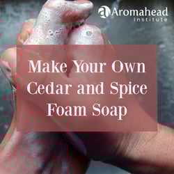 Blog-November-20-Make-Your-Own-Cedar-and-Spice-Foam-Soap-FB-V1.jpg Blog-November-20-Make-Your-Own-Cedar-and-Spice-Foam-Soap-FB-V1.jpg