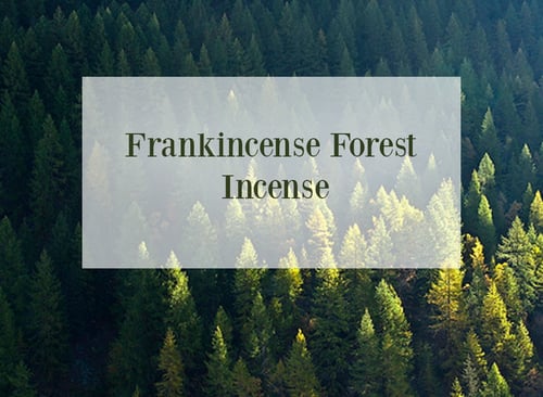 Frankinsence Oil Forest Incense
