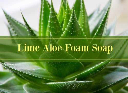 Lime Aloe Foam Soap
