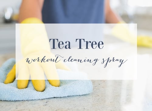 Tea Tree Essential Oil Cleaning Spray