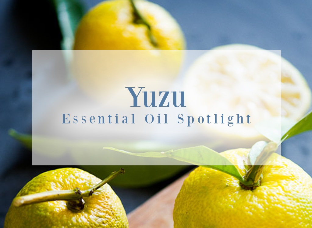 Yuzu Essential Oil Spotlight