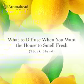 Youtube-Title-January-What to Diffuse When you want the house to smell fresh-1200x1200-V1.jpg Youtube-Title-January-What to Diffuse When you want the house to smell fresh-1200x1200-V1.jpg