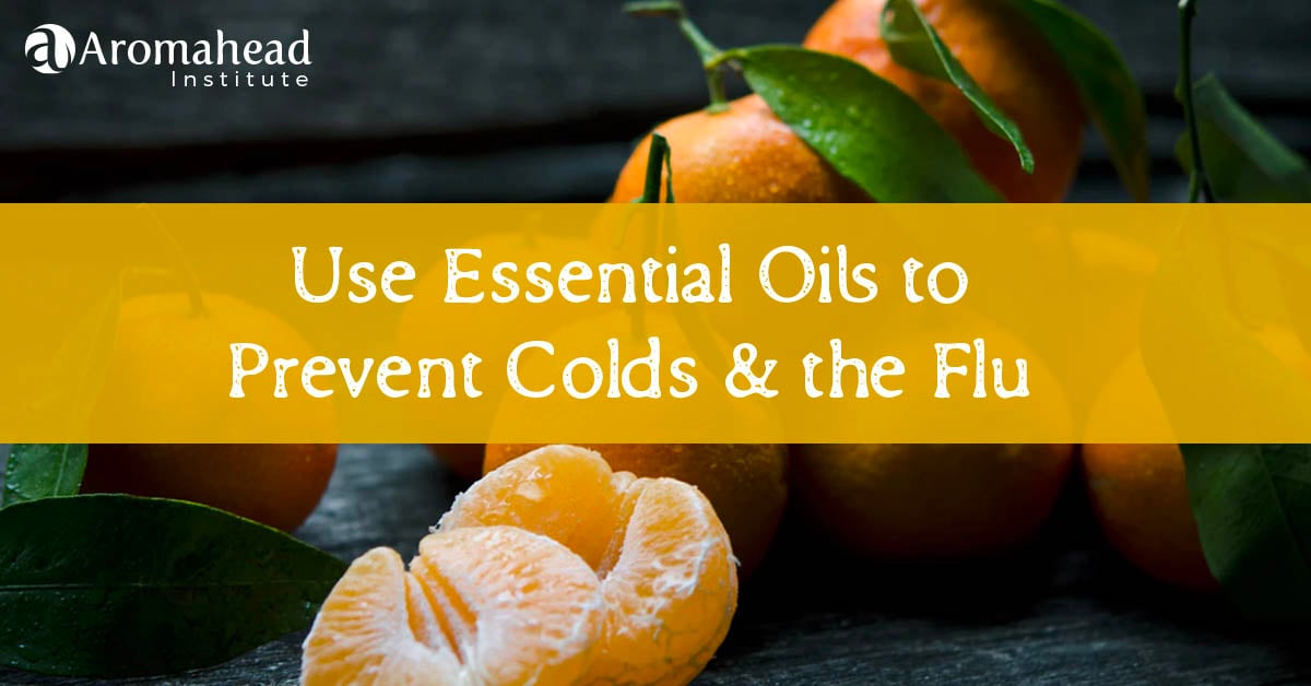 Use Essential Oils to Prevent Colds + the Flu!