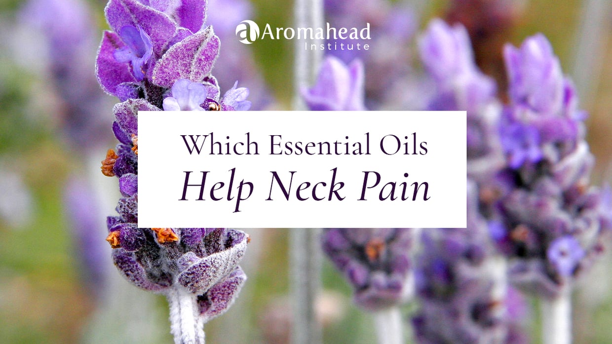 Which essential oils help neck pain