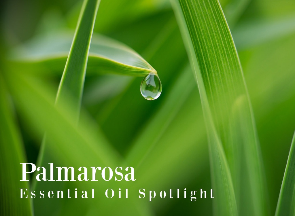 Palmarosa Essential Oil